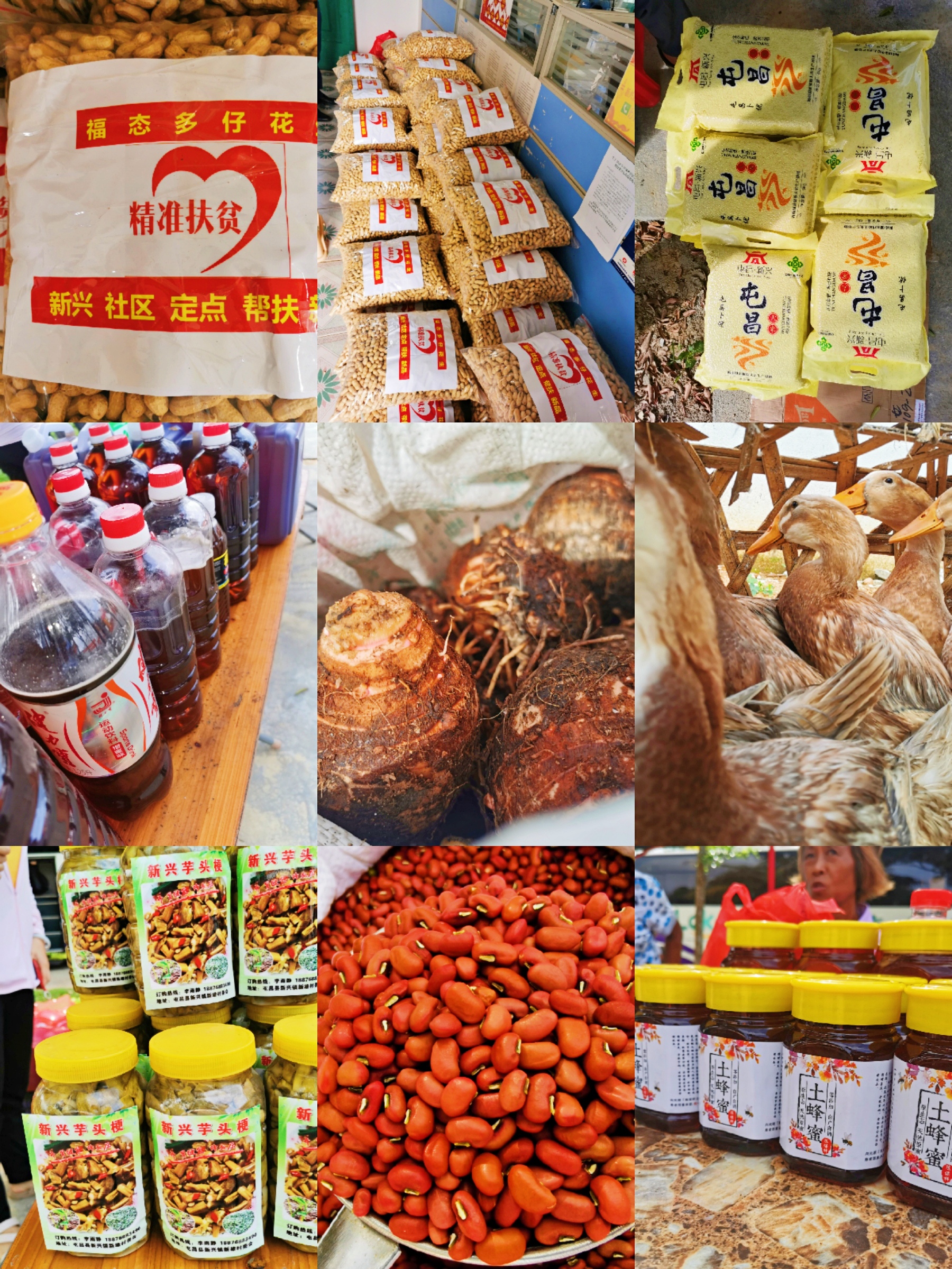 J9国际站|集团官网