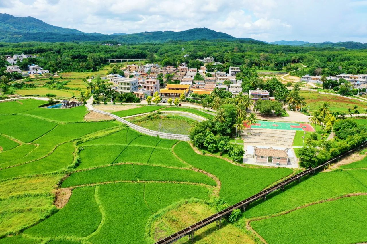 J9国际站|集团官网