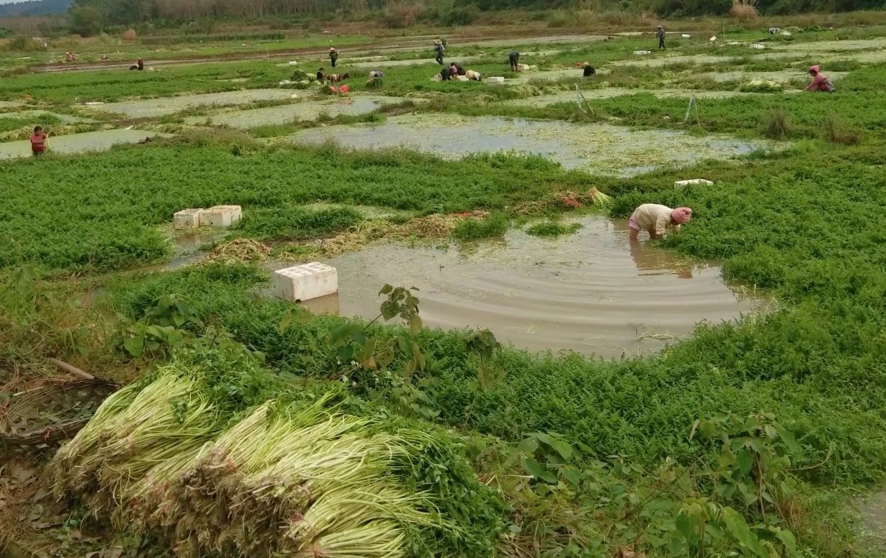 J9国际站|集团官网