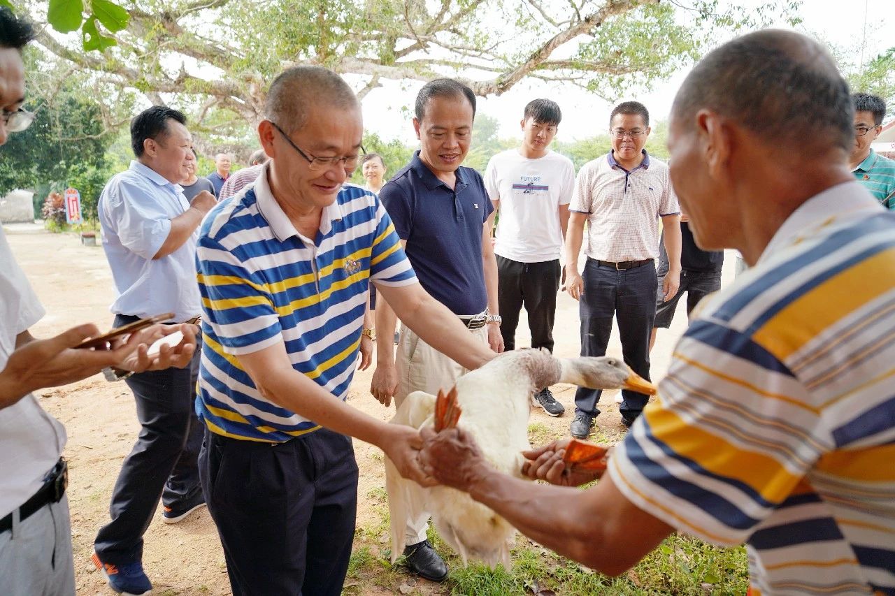 J9国际站|集团官网