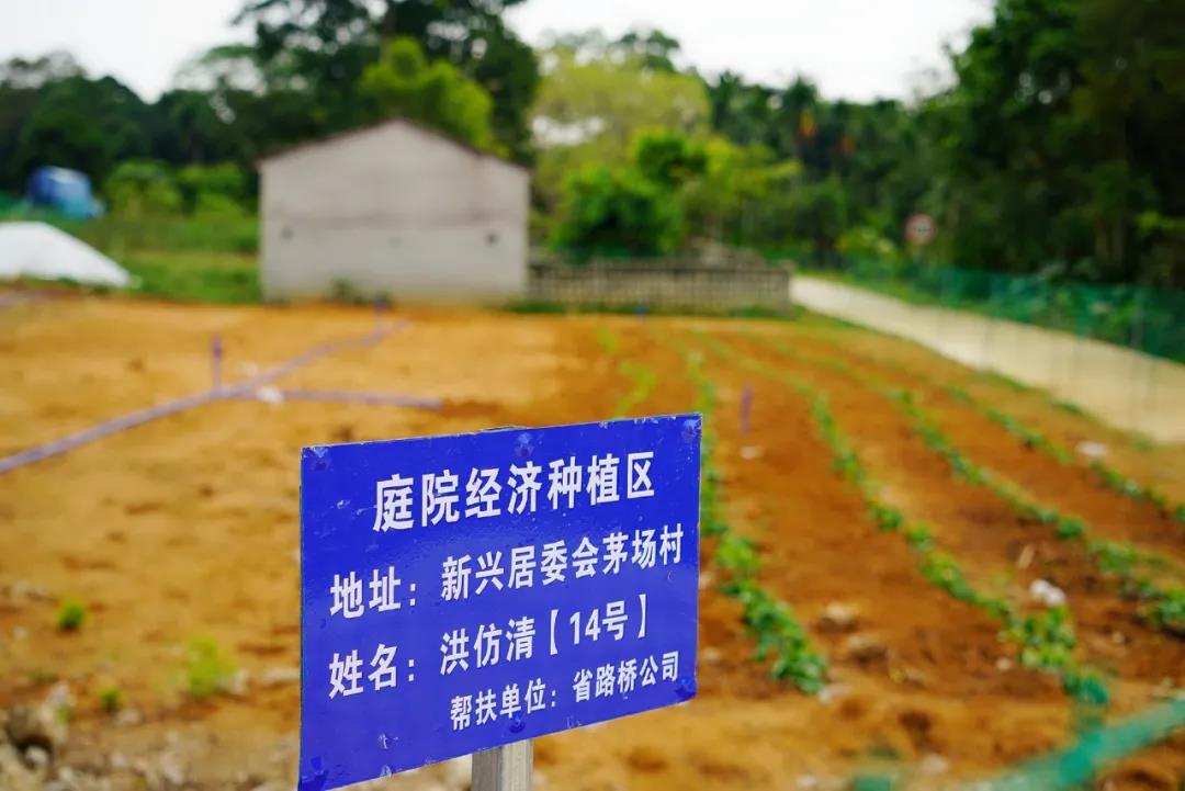 J9国际站|集团官网