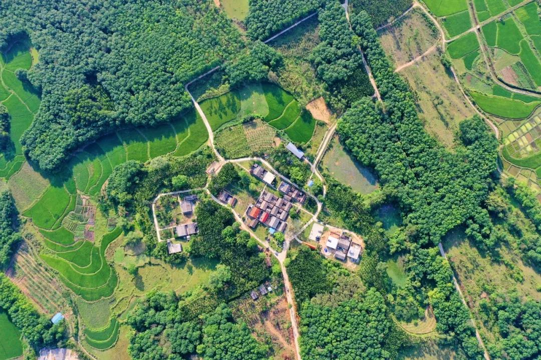 J9国际站|集团官网