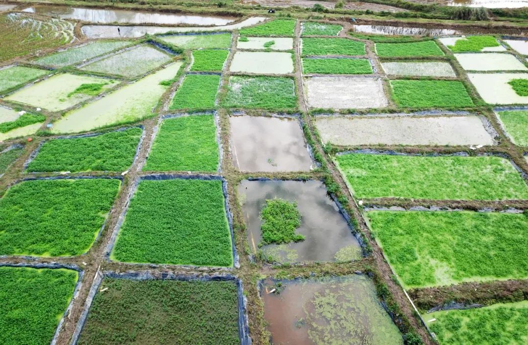 J9国际站|集团官网